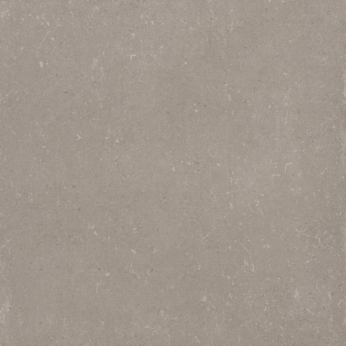 Firenze grey Tegel keramische betonlook vloertegel