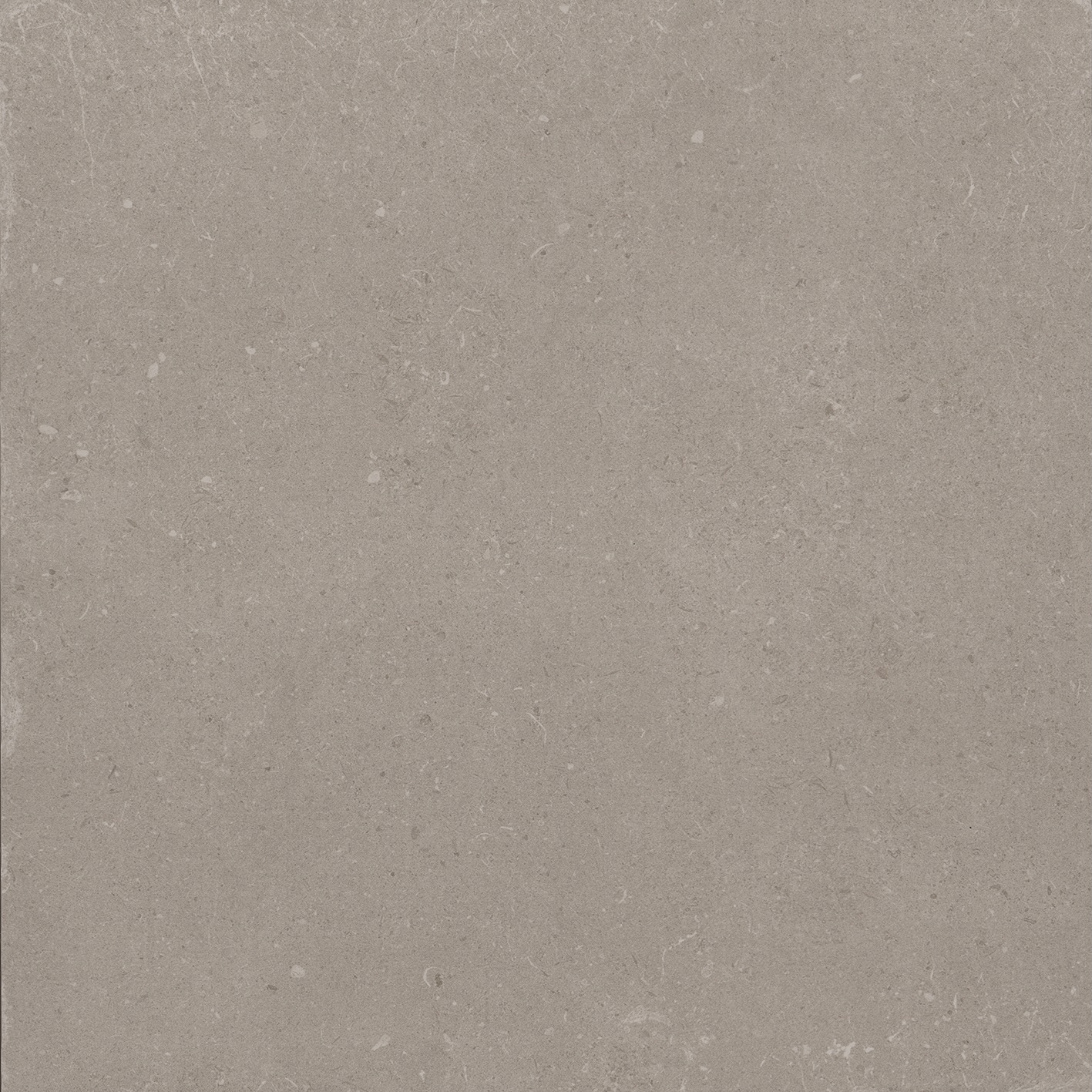 Roma Grey - Afbeelding 3